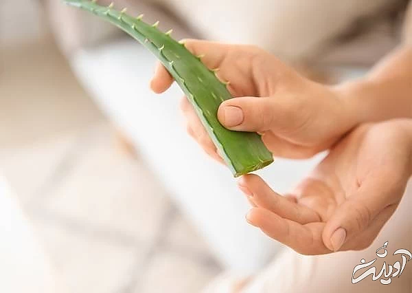 استفاده از آلوئه ورا برای پوست های خشک آلوئه ورا